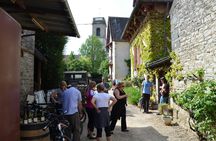 Half-day bike and wine tour in Côte de Beaune