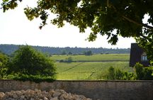 Half-day bike and wine tour in Côte de Beaune