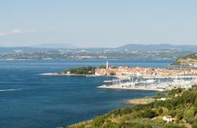 Slovenian coast guided tour from Trieste with wine and food tasting