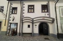 Half-day alpine escape to Lake Bled and Radovljica from Trieste