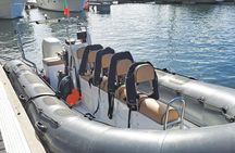 Madeira Island whale watching and snorkelling private tour