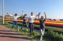 Keukenhof's tulip experience from Amsterdam