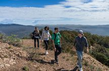Montserrat Abbey small-group tour and hiking experience from Barcelona