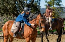 Montserrat beginner horseback ride with monastery small-group tour