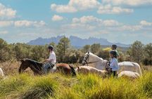 Montserrat walk with horseback ride small-group experience