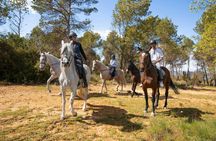 Montserrat walk with horseback ride small-group experience