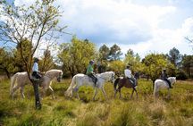 Montserrat walk with horseback ride small-group experience