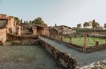 Herculaneum archaeological site access with audio guide