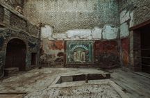 Herculaneum archaeological site access with audio guide