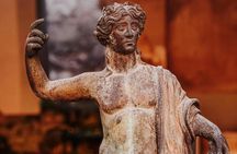 Herculaneum archaeological site access with audio guide