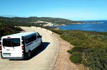 Minivan day tour to Asinara National Park from Stintino