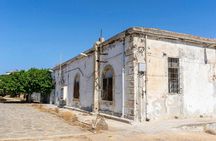 Minivan day tour to Asinara National Park from Stintino