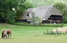 Black Forest day tour from Strasbourg