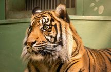 Prague Zoo ticket with online audio guide