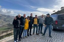 Douro Valley wine tour with winery lunch and private cruise