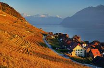 Wine tour in the Lavaux vineyards
