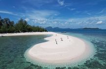 Pig Island snorkelling adventure with sunset dinner