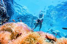 Koh Chang 4 islands snorkelling Rang National Park experience