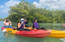 Phuket and Phang Nga eco nature discovery tour