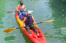 Phuket and Phang Nga eco nature discovery tour