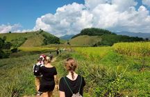 2-days and 1-night jungle trekking and hill tribe homestay