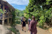 2-days and 1-night jungle trekking and hill tribe homestay