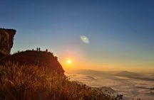 Phu Chi Fah sunrise and Doi Pha Tang guided day-trip