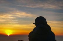 Phu Chi Fah sunrise and Doi Pha Tang guided day-trip