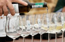 Biscay Bridge, Gaztelugatxe and txakoli tasting small group tour