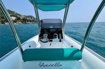 4-hours Portofino Coast boat tour with swim stops