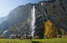 Grindelwald top adventure from Interlaken