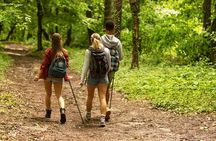 Guided hiking tour from San Sebastián on the Camino de Santiago
