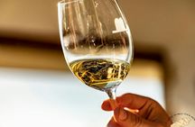 Biscay Bridge, Gaztelugatxe and txakoli wine tasting from Bilbao