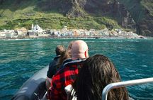 Madeira Island whale watching and snorkelling private tour