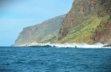 Madeira Island whale watching and snorkelling private tour