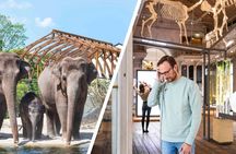 ARTIS Amsterdam Royal Zoo and ARTIS-Groote Museum Entrance Ticket