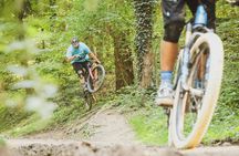 Zermatt full-day guided bike tour with mountain landscape views