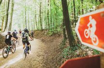 Zermatt full-day guided bike tour with mountain landscape views