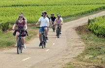 Bike and wine day tour in Burgundy's Côte de Beaune