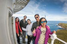 Bruny Island safaris, local food tasting and lighthouse tour