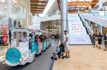 Las Palmas city tour with Vegueta Old Town and shopping time