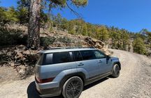 Gran Canaria 4x4 Adventure with aloe vera farm visit