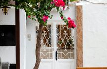 Gran Canaria 4x4 Adventure with aloe vera farm visit