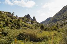 VIP guided tour of La Gomera with Garajonay Park and lunch