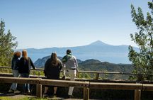 VIP guided tour of La Gomera with Garajonay Park and lunch