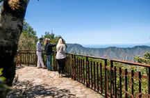 VIP guided tour of La Gomera with Garajonay Park and lunch