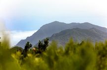 La Gomera tour with Garajonay Forest and San Sebastian