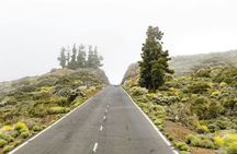 Teide National Park Tour with Local Guide