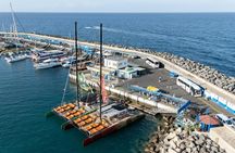 Adults only Tenerife Freebird whale and dolphin catamaran