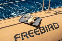 Adults only Tenerife Freebird whale and dolphin catamaran